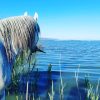 Die Magie des Trasimeno Sees